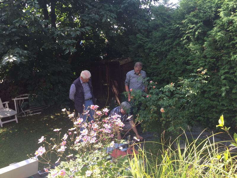 IMG-20170821-WA0002_k